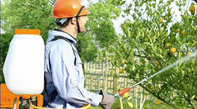 GIẢI PHÁP GIEO SẠ LÚA