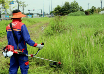 GIẢI PHÁP QUẢN LÝ CỎ DẠI