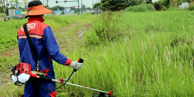 GIẢI PHÁP QUẢN LÝ CỎ DẠI