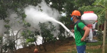 GIẢI PHÁP GIEO SẠ LÚA