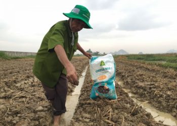 GIẢI PHÁP BÓN PHÂN CÂY