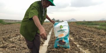 GIẢI PHÁP BÓN PHÂN CÂY