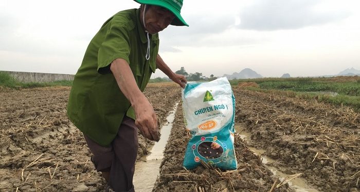 GIẢI PHÁP BÓN PHÂN CÂY