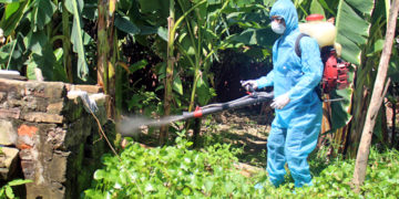 GIẢI PHÁP GIEO SẠ LÚA