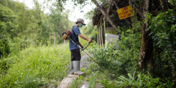 GIẢI PHÁP QUẢN LÝ CỎ DẠI