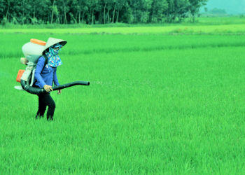 GIẢI PHÁP BÓN PHÂN CÂY