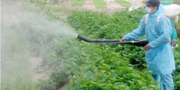 GIẢI PHÁP GIEO SẠ LÚA