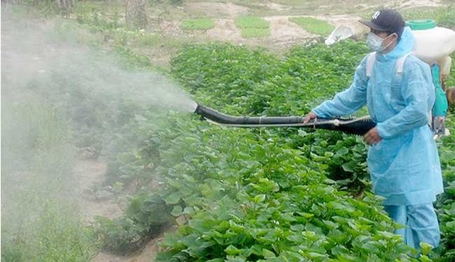 GIẢI PHÁP GIEO SẠ LÚA