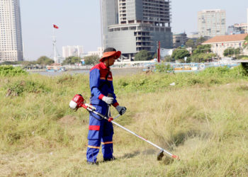 GIẢI PHÁP CANH TÁC CÂY MÍT