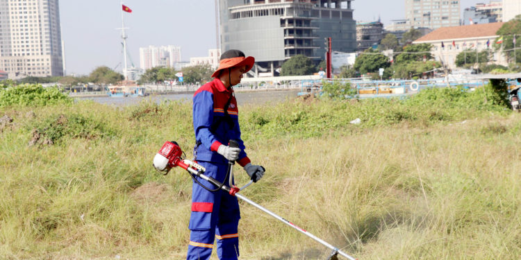 GIẢI PHÁP CANH TÁC CÂY MÍT