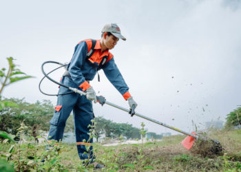 GIẢI PHÁP QUẢN LÝ CỎ DẠI
