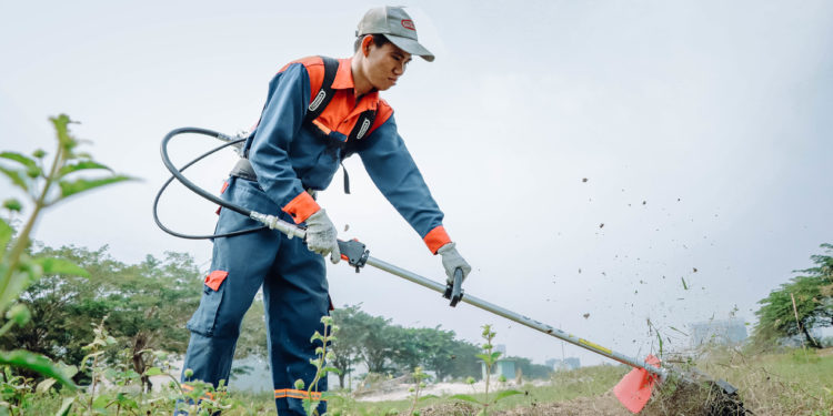 GIẢI PHÁP QUẢN LÝ CỎ DẠI