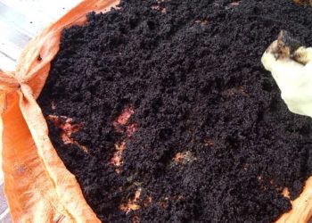 GIẢI PHÁP BÓN PHÂN CÂY