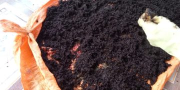 GIẢI PHÁP BÓN PHÂN CÂY