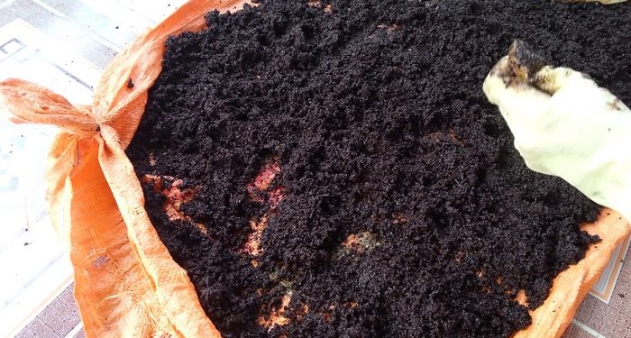 GIẢI PHÁP BÓN PHÂN CÂY