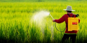 GIẢI PHÁP QUẢN LÝ CỎ DẠI