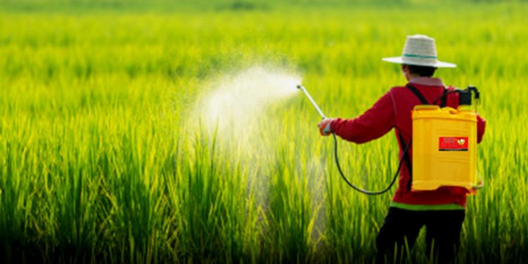 GIẢI PHÁP QUẢN LÝ CỎ DẠI