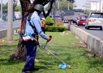 GIẢI PHÁP QUẢN LÝ CỎ DẠI