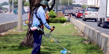 GIẢI PHÁP QUẢN LÝ CỎ DẠI