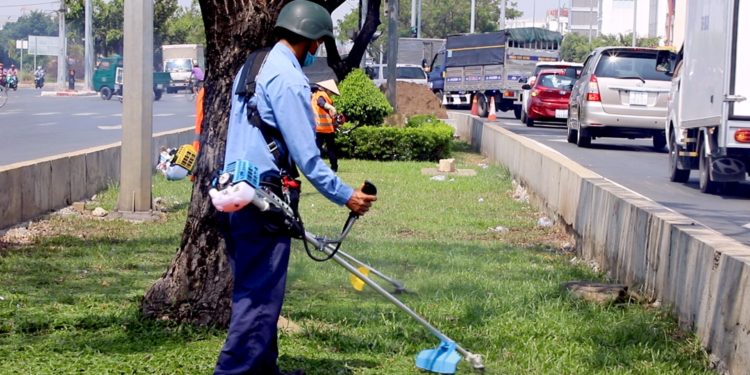 GIẢI PHÁP QUẢN LÝ CỎ DẠI