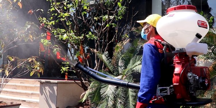 GIẢI PHÁP GIEO SẠ LÚA