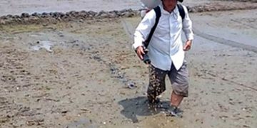 GIẢI PHÁP KỸ THUẬT GIEO SẠ LÚA MÙA