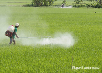 GIẢI PHÁP PHUN THUỐC TRỪ SÂU
