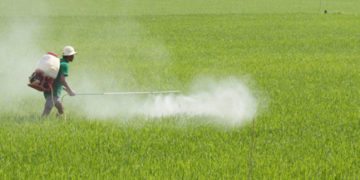 GIẢI PHÁP PHUN THUỐC TRỪ SÂU