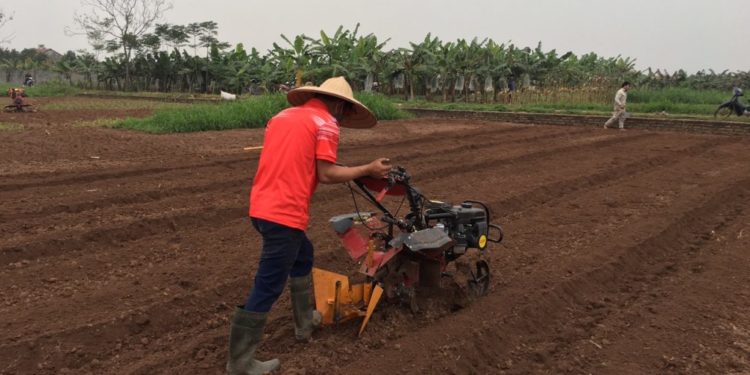 GIẢI PHÁP PHUN THUỐC TRỪ SÂU