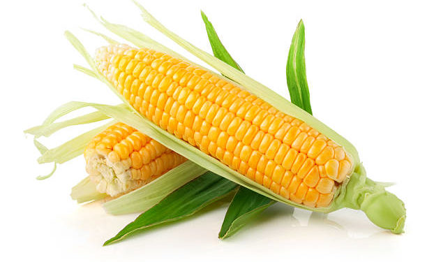 GIẢI PHÁP PHUN THUỐC TRỪ SÂU