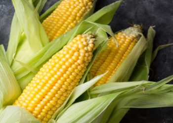 GIẢI PHÁP PHUN THUỐC TRỪ SÂU