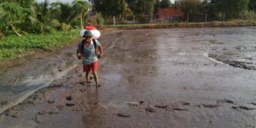 GIẢI PHÁP BÓN PHÂN CÂY