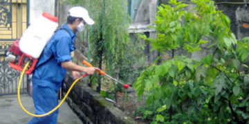 GIẢI PHÁP DIỆT MỌT NÔNG SẢN