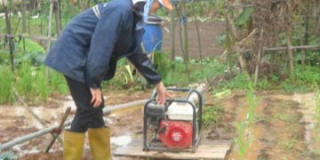 GIẢI PHÁP GIEO SẠ LÚA