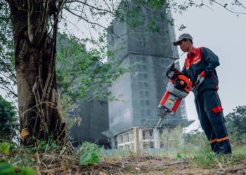 GIẢI PHÁP BỨNG VÀ VẬN CHUYỂN CÂY