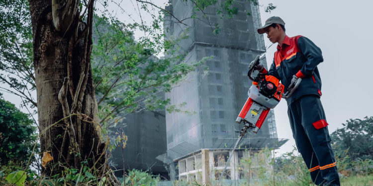 GIẢI PHÁP BỨNG VÀ VẬN CHUYỂN CÂY