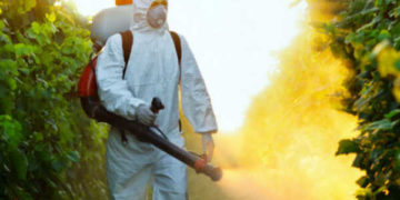 GIẢI PHÁP GIEO SẠ LÚA