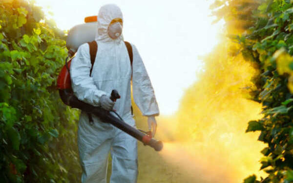 GIẢI PHÁP GIEO SẠ LÚA