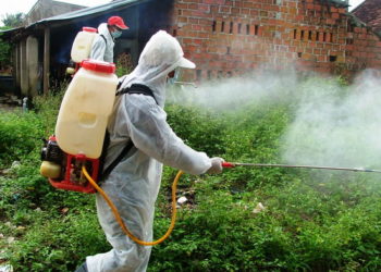 GIẢI PHÁP DIỆT MỌT NÔNG SẢN