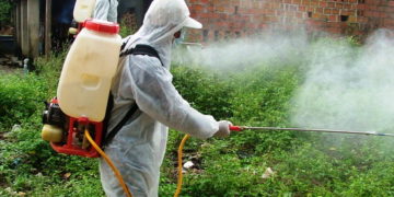 GIẢI PHÁP DIỆT MỌT NÔNG SẢN