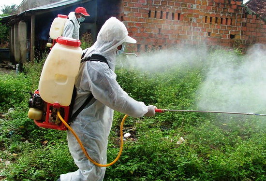 GIẢI PHÁP DIỆT MỌT NÔNG SẢN