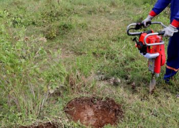 GIẢI PHÁP BỨNG VÀ VẬN CHUYỂN CÂY