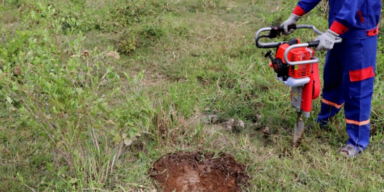 GIẢI PHÁP BỨNG VÀ VẬN CHUYỂN CÂY