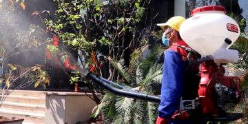 GIẢI PHÁP BÓN PHÂN CÂY