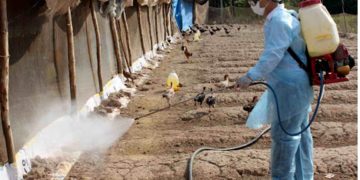 GIẢI PHÁP PHUN XỊT KHỬ TRÙNG