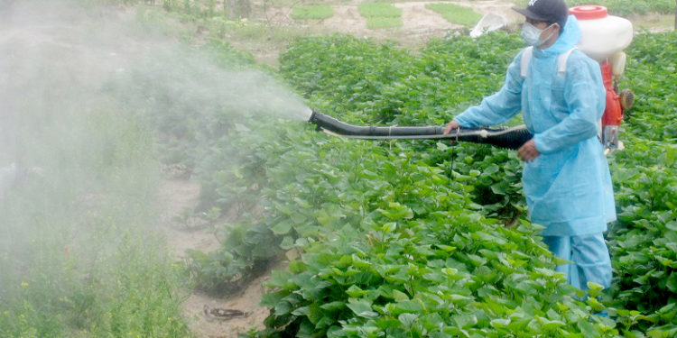 GIẢI PHÁP BÓN PHÂN CÂY