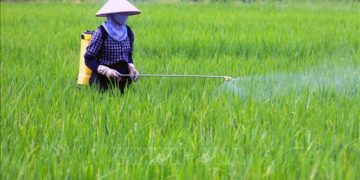 GIẢI PHÁP PHUN THUỐC TRỪ SÂU