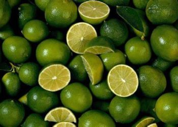 GIẢI PHÁP TRỒNG CHANH KHÔNG HẠT