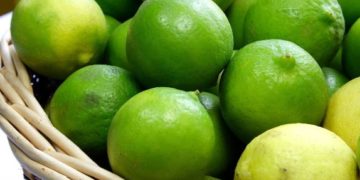 GIẢI PHÁP TRỒNG CHANH KHÔNG HẠT